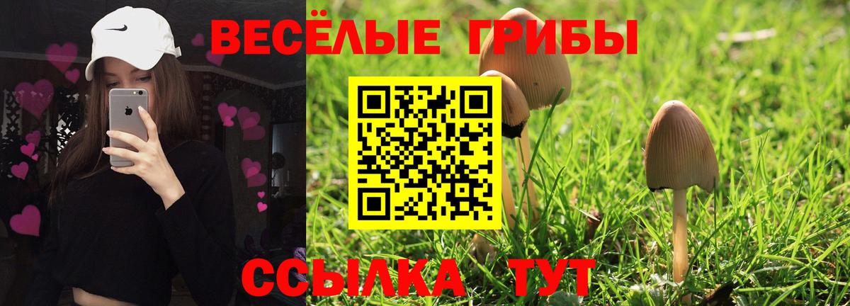 Каменка  Галлюциногенные грибы мухоморы  Вход с VPN 